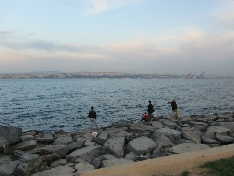19.JPG