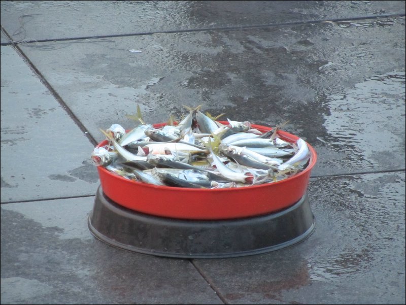 23.JPG