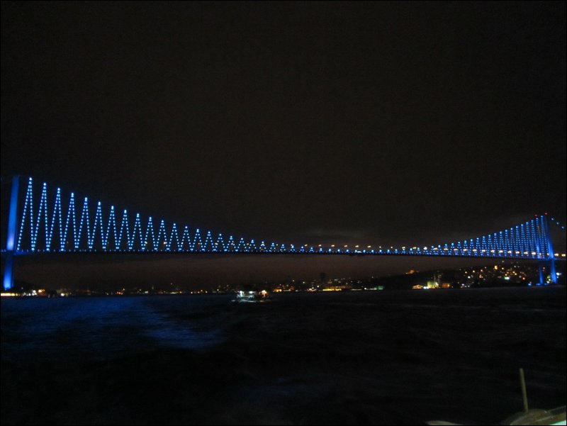 29.JPG