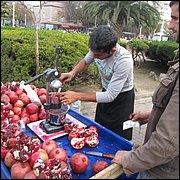 09.JPG