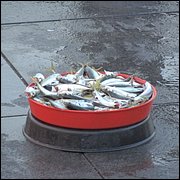 23.JPG