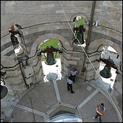 IMG_1010.JPG