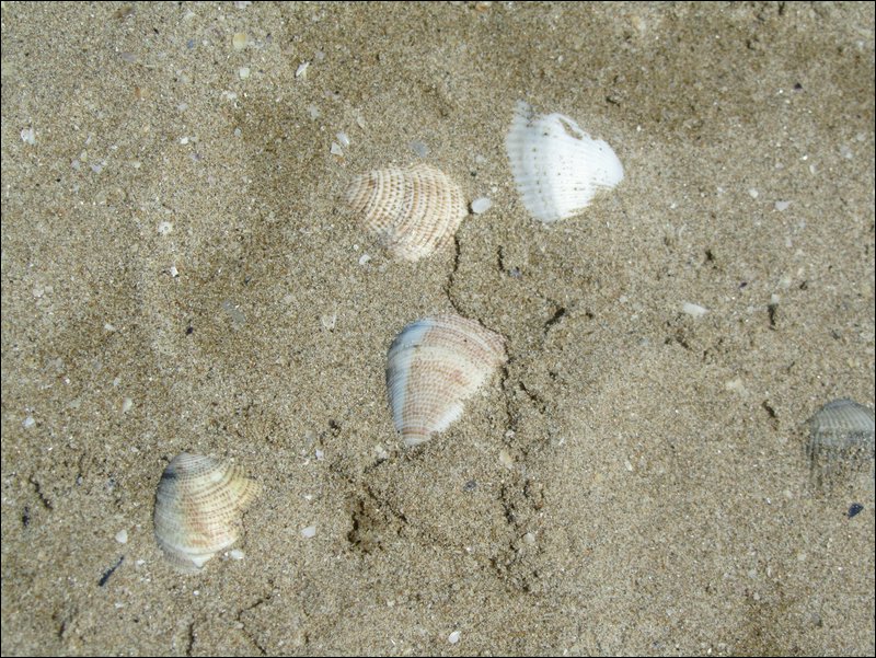 IMG_1164.JPG