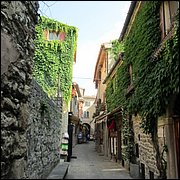 IMG_1200.JPG