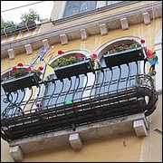 IMG_1294.JPG
