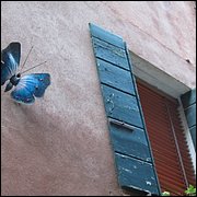 IMG_1417.JPG