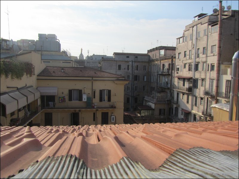IMG_4377.JPG