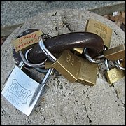 IMG_4335.JPG