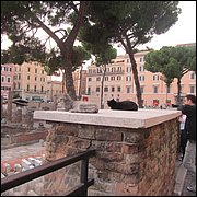 IMG_4371.JPG