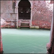 IMG_4724.JPG
