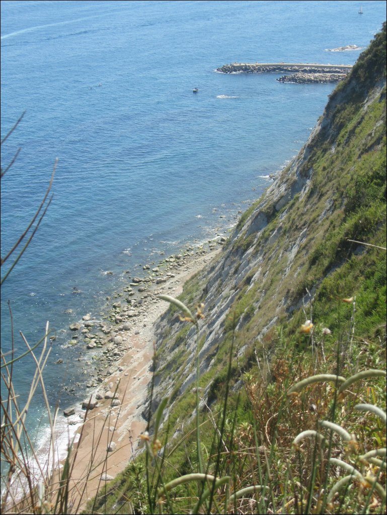 IMG_9620.JPG