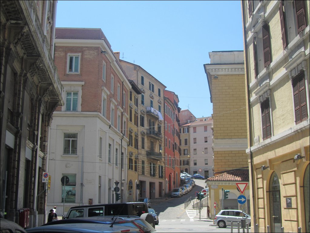 IMG_9658.JPG