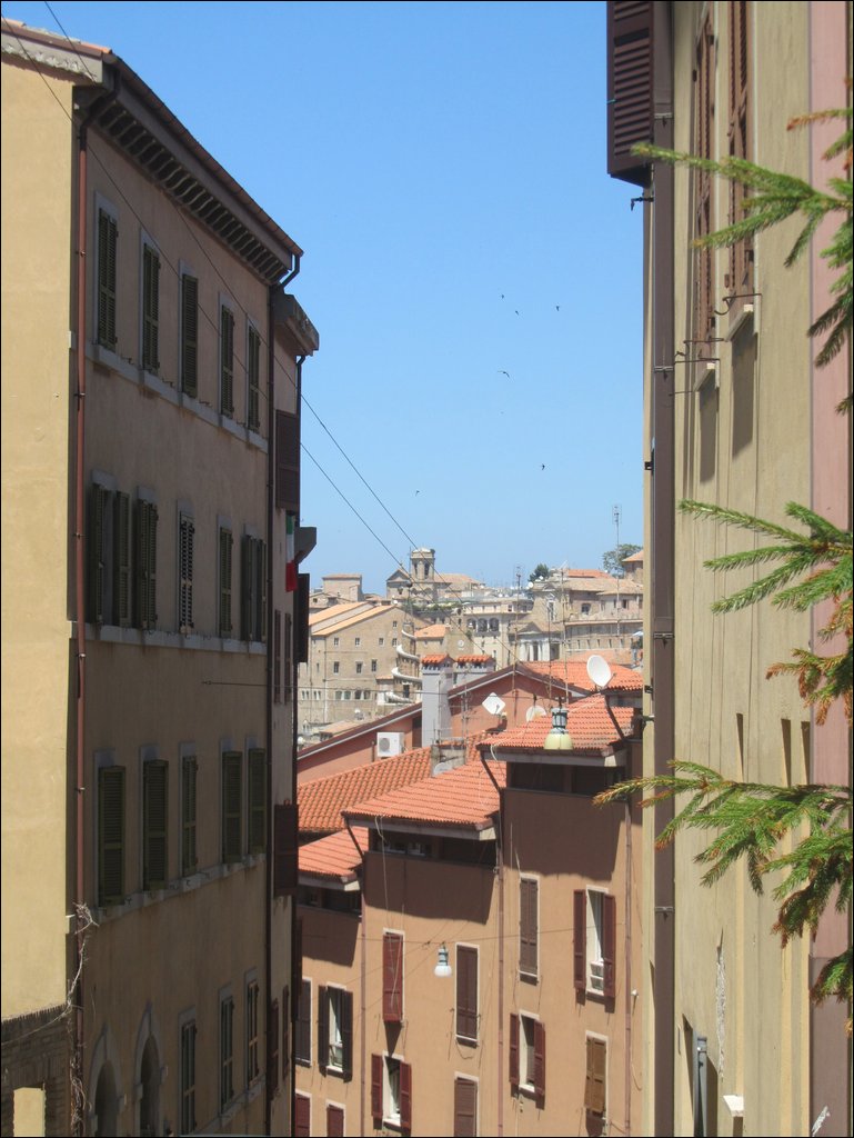 IMG_9662.JPG