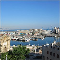 IMG_9525.JPG