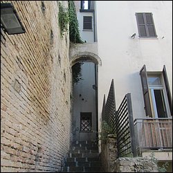 IMG_9535.JPG