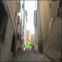 IMG_9550.JPG