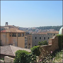 IMG_9561.JPG