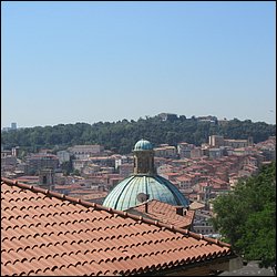 IMG_9593.JPG