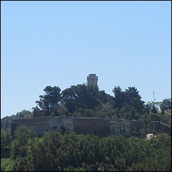 IMG_9595.JPG