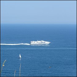 IMG_9617.JPG