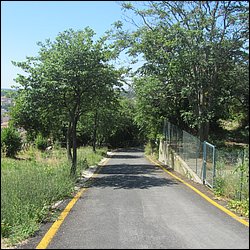 IMG_9630.JPG