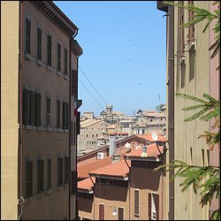 IMG_9662.JPG