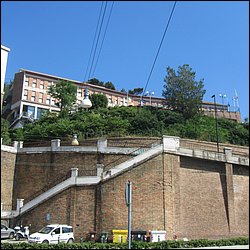 IMG_9672.JPG