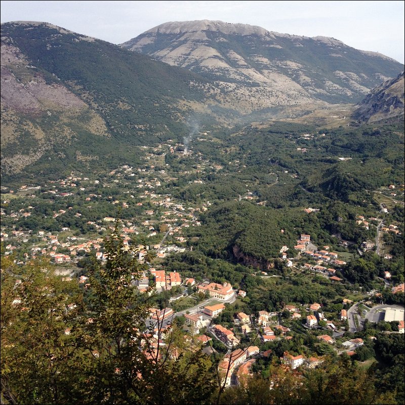 IMG_7875.JPG