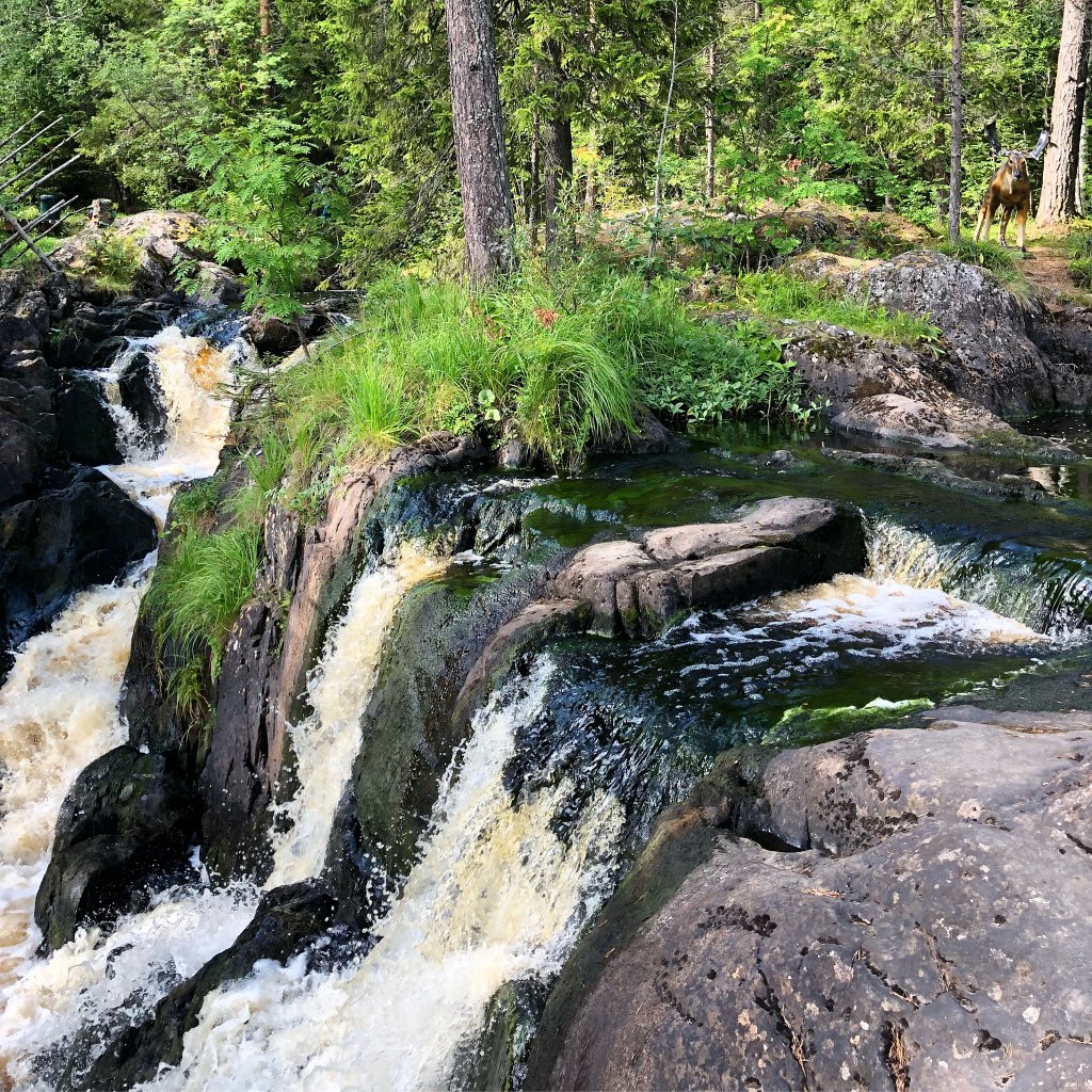 IMG_1125