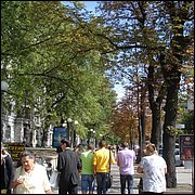 DSC09256.JPG