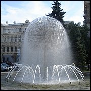 DSC09325.JPG