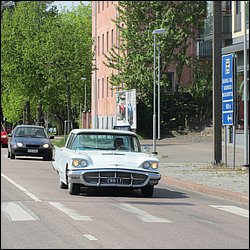 IMG_8572.JPG