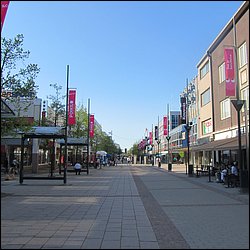 IMG_8573.JPG