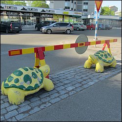 IMG_8577.JPG