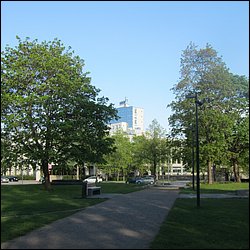 IMG_8583.JPG