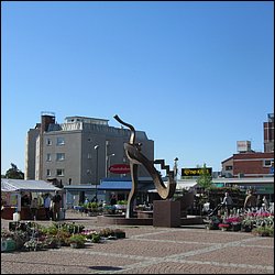 IMG_8586.JPG