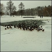 IMG_0039.JPG