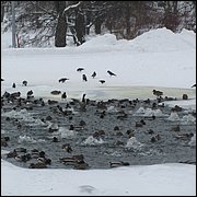 IMG_0040.JPG