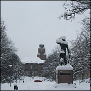 IMG_5523.JPG