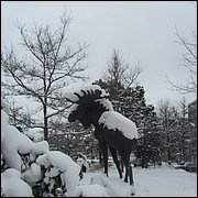 IMG_5544.JPG
