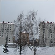 IMG_5550.JPG