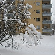 IMG_5555.JPG