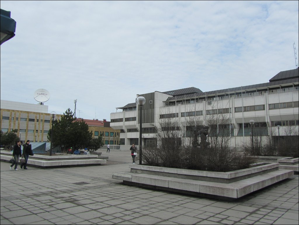 IMG_7529.JPG