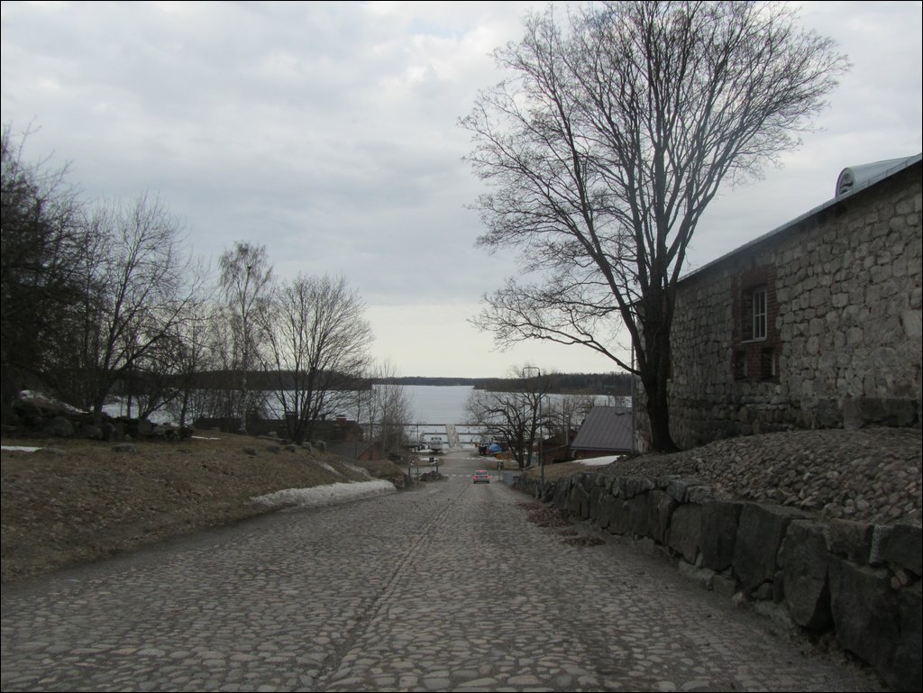IMG_7559.JPG
