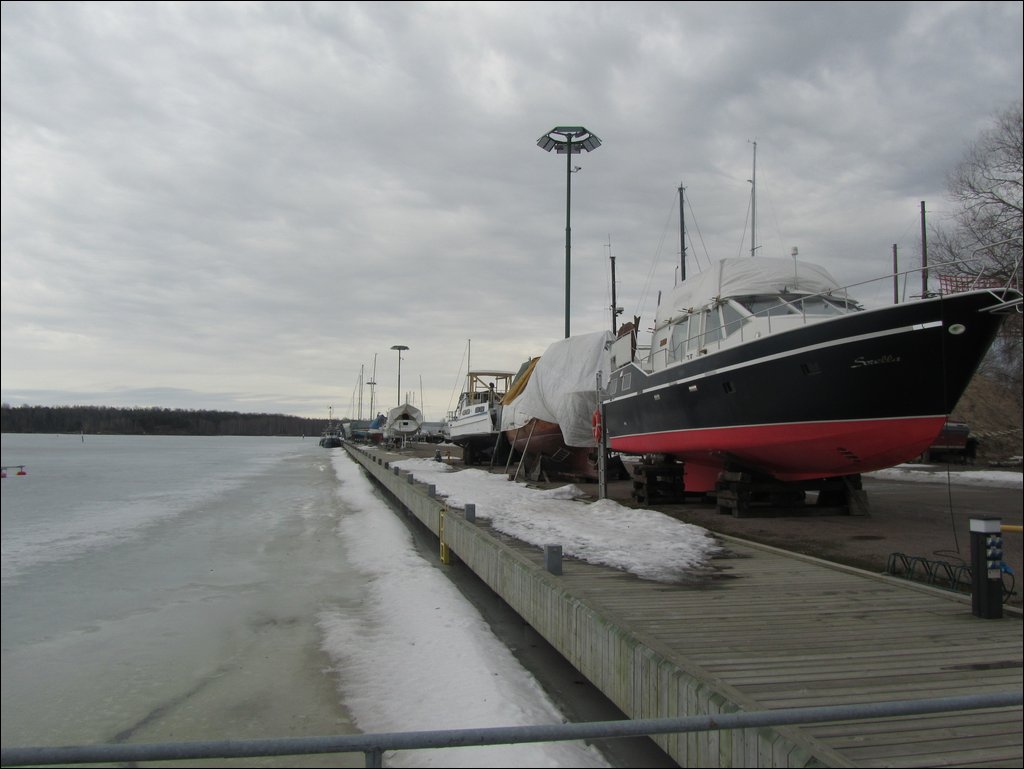 IMG_7563.JPG