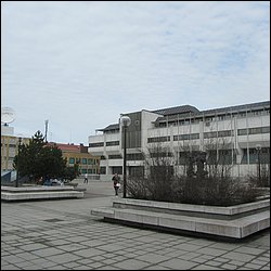 IMG_7529.JPG