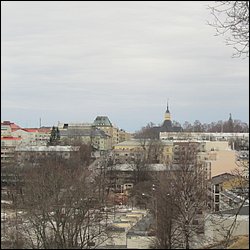 IMG_7550.JPG