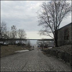 IMG_7559.JPG