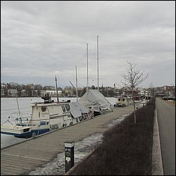 IMG_7573.JPG