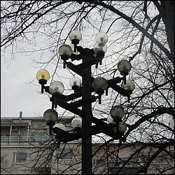IMG_7578.JPG
